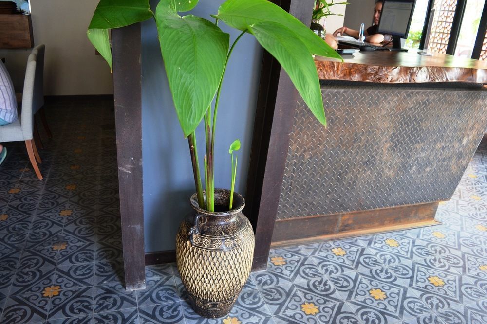 Monsoon Bassac Hotel Phnom Penh Eksteriør bilde